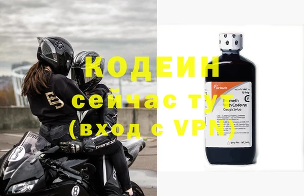 индика Нягань