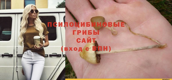 хмурый Осинники