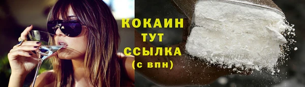 индика Нягань