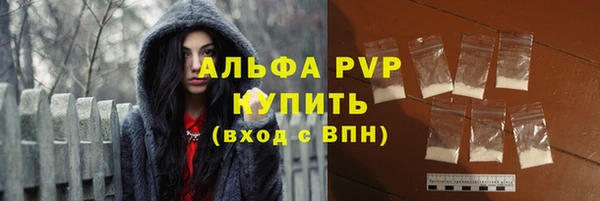 прущие грибы Весьегонск