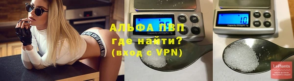 индика Нягань