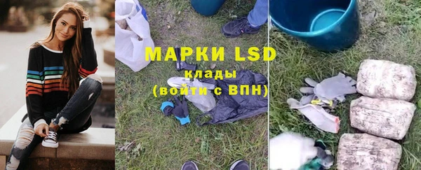 индика Нягань
