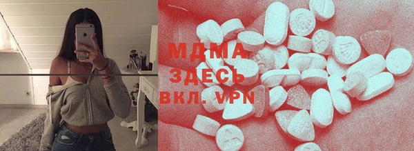 индика Нягань