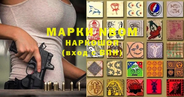 индика Нягань