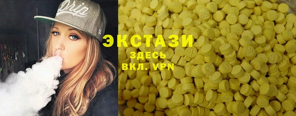 индика Нягань