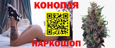 крисы Волгодонск