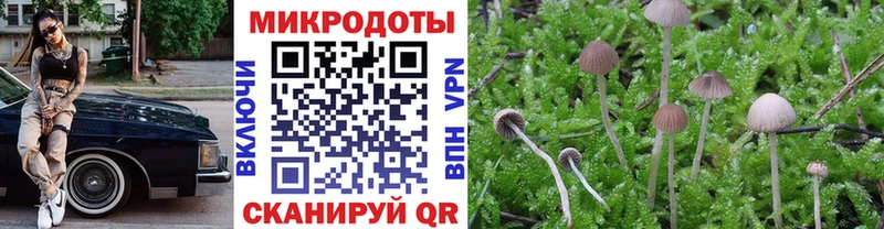 как найти наркотики  Кольчугино  Галлюциногенные грибы Psilocybe 