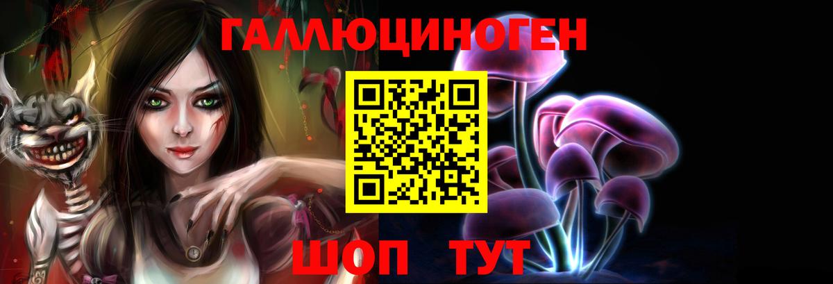 Псилоцибиновые грибы Psilocybine cubensis  Галлюциногенные грибы Psilocybine cubensis  Кольчугино 